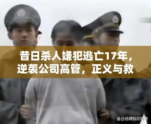 昔日杀人嫌犯逃亡17年，逆袭公司高管，正义与救赎的双重考验  第1张