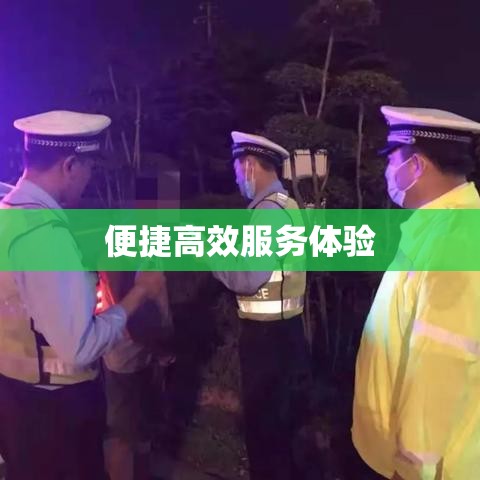 日照交警网违章查询，便捷高效的服务体验  第1张