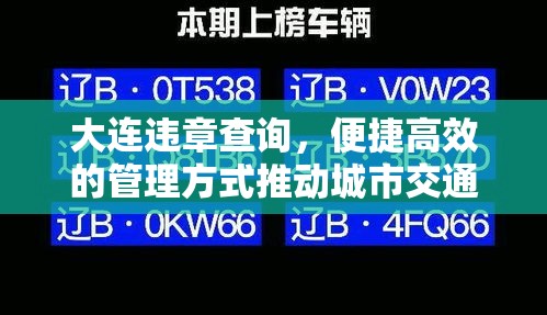 大连违章查询，便捷高效的管理方式推动城市交通进步  第1张