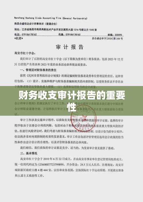 财务收支审计报告的重要性及其核心职能作用解析  第1张