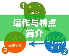 代销概念解析，定义、运作与特点简介  第1张