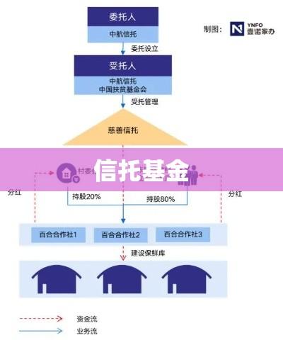 信托基金，概念、特点与运作方式深度解析  第1张