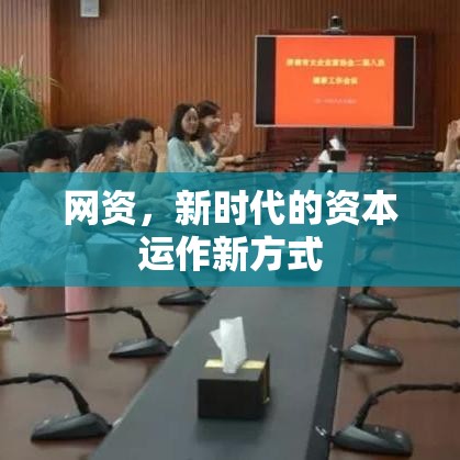 网资，新时代的资本运作新方式  第1张