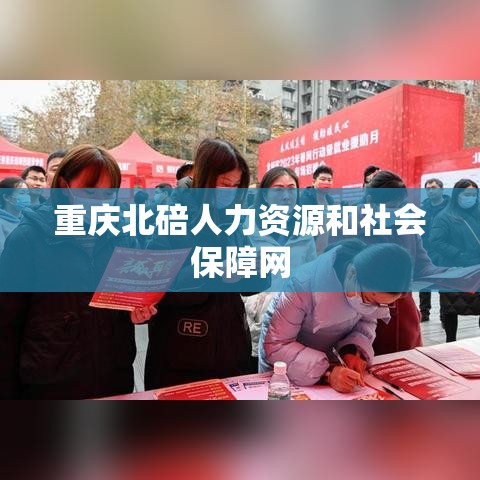 重庆北碚人力资源和社会保障网，民生保障数字桥梁的构建者  第1张