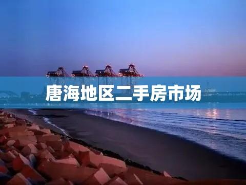 唐海地区二手房市场全面解析  第1张