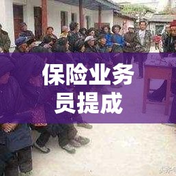 保险业务员提成，深入探究与面临的挑战  第1张