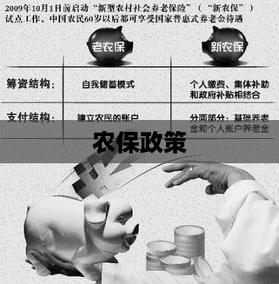 农保政策，护航农村社会保障体系建设  第1张