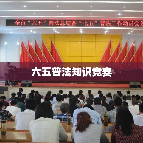 六五普法知识竞赛，深化法治观念，助推社会进步  第1张