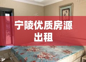 宁陵优质房源出租，为您打造舒适居住环境  第1张