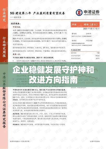 稽核报告，企业稳健发展的守护神与改进方向指南  第1张