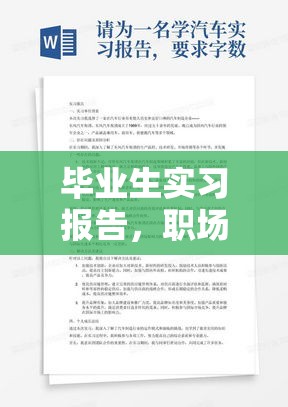 毕业生实习报告，职场初探与成长之路的足迹  第1张