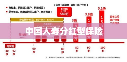 中国人寿分红型保险，保障与增值的双重优势解析  第1张