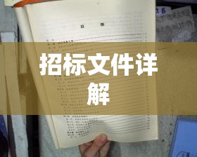 招标文件详解，从编制到实施的全程指南  第1张