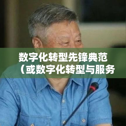 大连地税局网站，服务升级与数字化转型的先锋典范  第1张