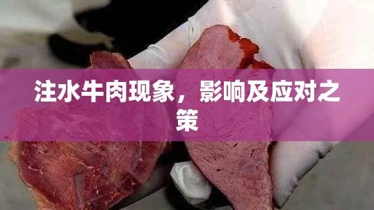 注水牛肉现象，影响及应对之策  第1张