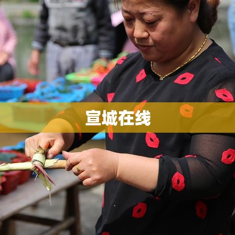 宣城在线，数字时代的城市新名片亮相  第1张