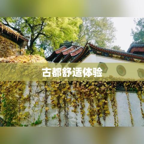 北京特色按摩会所，古都舒适体验之道  第1张