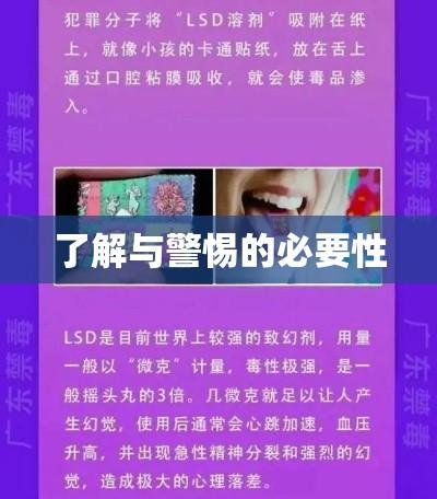 黄色网站的警示与反思，了解与警惕的必要性  第1张