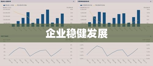 长期偿债能力分析，企业稳健发展的基石  第1张