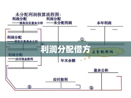 利润分配借方的深度解读与解析  第1张