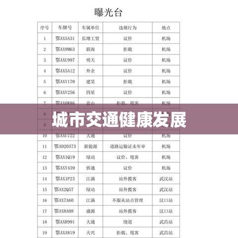 出租车新规实施，遏制拒载行为，助推城市交通健康发展  第1张