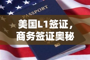 美国L1签证，商务签证奥秘探索  第1张