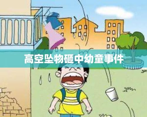 高空坠物砸中幼童事件，警示与应对策略的思考  第1张