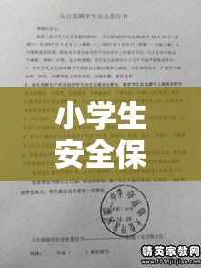 小学生安全保证书的重要性及其深远影响  第1张