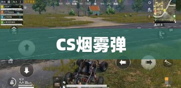 CS烟雾弹，战术利器与战略深度探讨解析  第1张