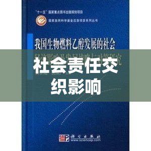 举报者的力量与社会责任的交织影响  第1张