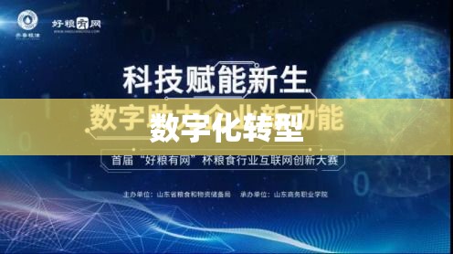 赛比安，数字化转型的新领袖  第1张