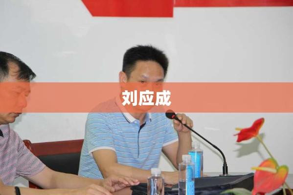 刘应成，卓越企业领袖与时代先锋的领导力风采  第1张