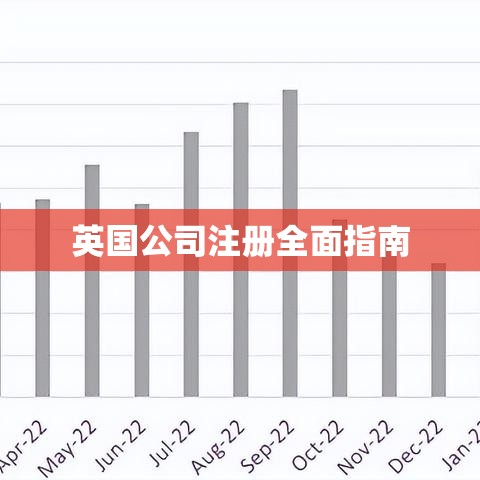 英国公司注册全面指南  第1张