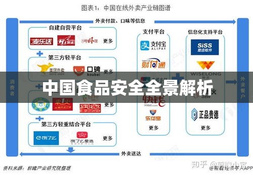 中国食品安全问题全景解析  第1张