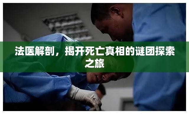 法医解剖，揭开死亡真相的谜团探索之旅  第1张