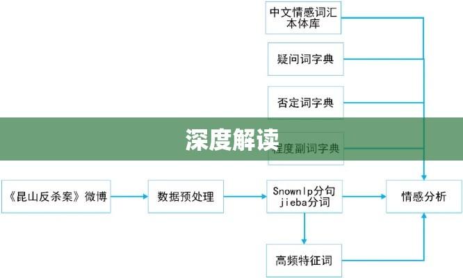 深度解读与解析  第1张