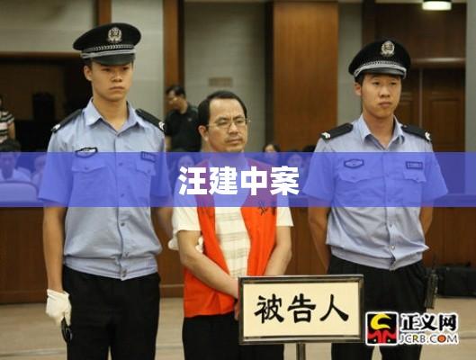 汪建中案，金融巨头陨落与司法正义的胜利之路  第1张