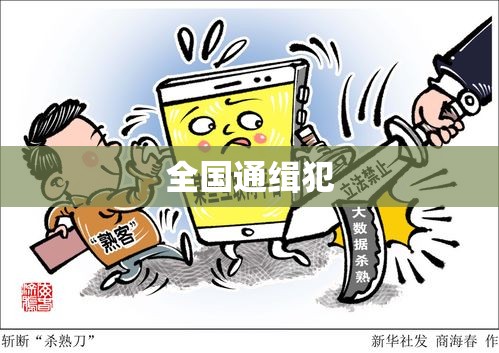 全国通缉犯，社会的警钟与公众的共同责任  第1张