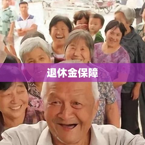 退休金保障与未来规划策略  第1张