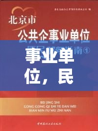 事业单位，民生与公共服务的坚实组织力量  第1张