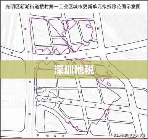 深圳地税，改革与发展的先锋探索者  第1张