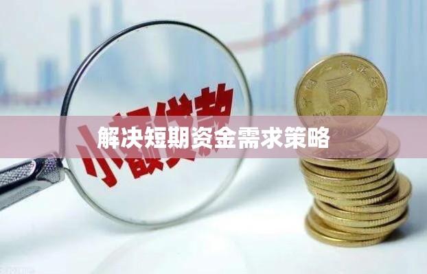 小额贷款，解决短期资金需求的紧迫策略  第1张