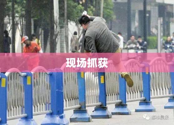 翻越栅栏进出京，现场抓获两人的警示故事  第1张