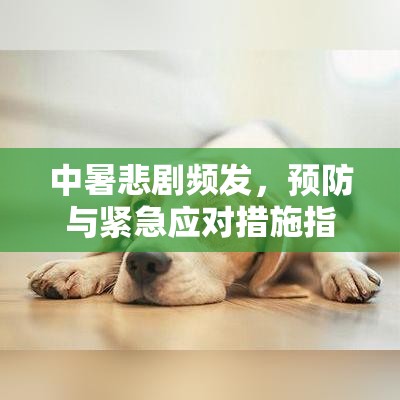 中暑悲剧频发，预防与紧急应对措施指南  第1张