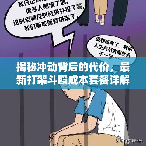 揭秘冲动背后的代价，最新打架斗殴成本套餐详解  第1张