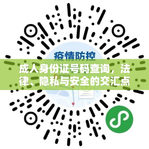 成人身份证号码查询，法律、隐私与安全的交汇点  第1张