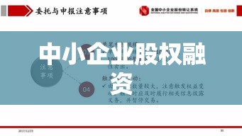 全国中小企业股份转让系统，中小企业股权融资的新动力  第1张