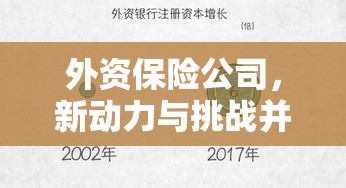 外资保险公司，新动力与挑战并存的市场态势  第1张