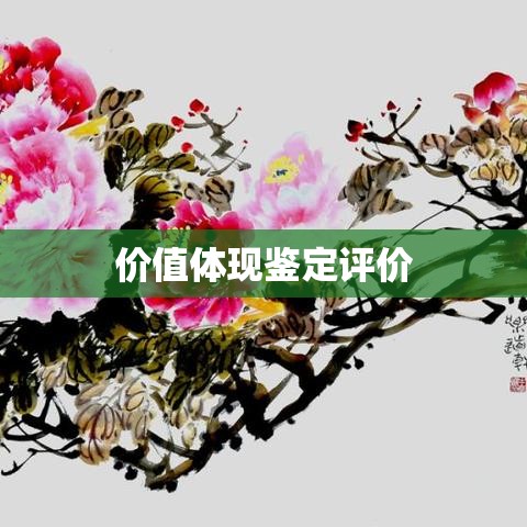 深度解读鉴定评语，揭示其价值体现  第1张