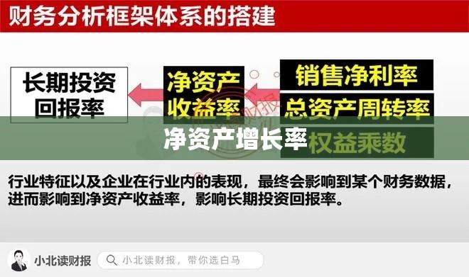 探究净资产增长率内涵及其在投资决策中的重要性影响  第1张